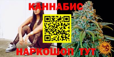 apvp Обнинск