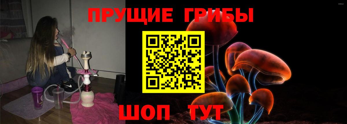 Сорочинск  Псилоцибиновые грибы Psilocybe  дарнет шоп  Галлюциногенные грибы Cubensis  Вход с VPN 
